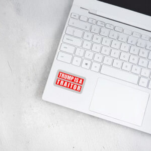 Donald Trump is a Traitor Sticker