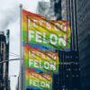 Let's Go Felon Anti-Trump Flag