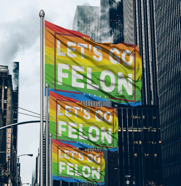 Let's Go Felon Anti-Trump Flag