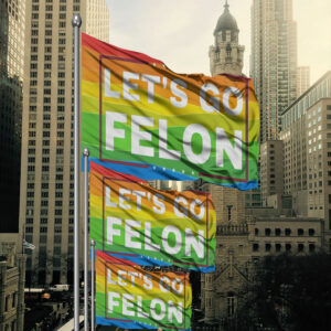 Let's Go Felon Anti-Trump Flag