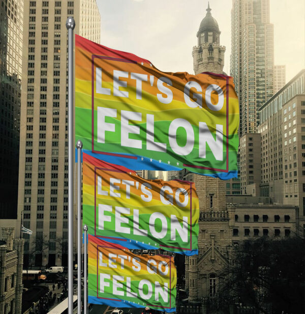 Let's Go Felon Anti-Trump Flag