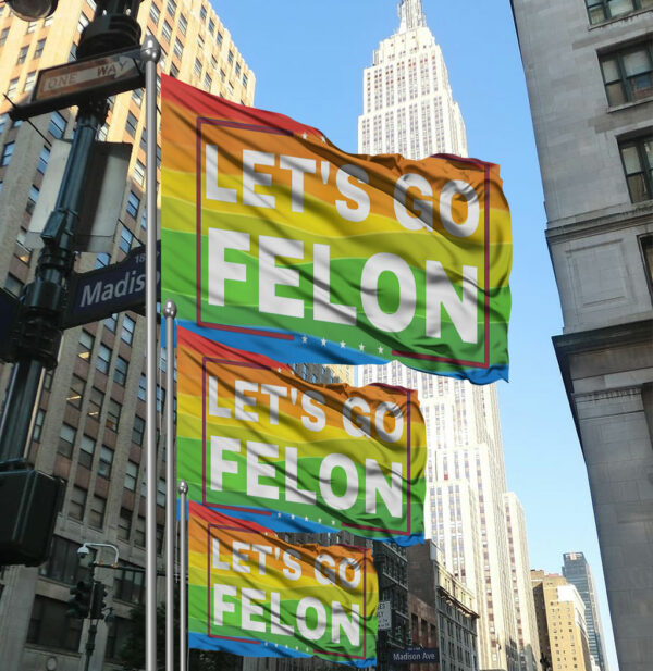 Let's Go Felon Anti-Trump Flag