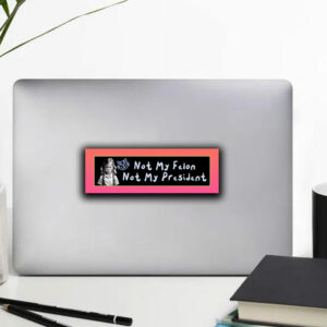 Not My Felon, Not My President - Sassy Schoolgirl Sticker ,Car Magnet