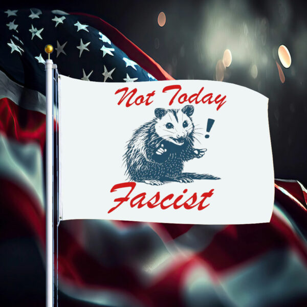 Not today fascist Flag anti trump