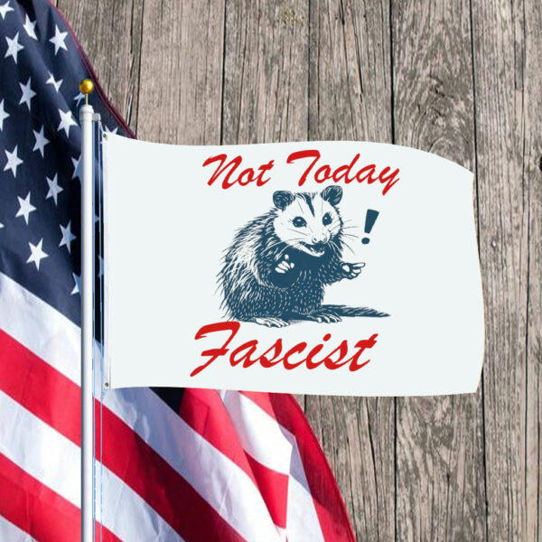 Not today fascist Flag anti trump