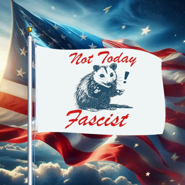 Not today fascist Flag anti trump