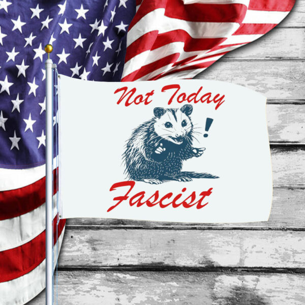 Not today fascist Flag anti trump