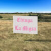 Chinga La Migra Baby Yard Sign Fuck Trump