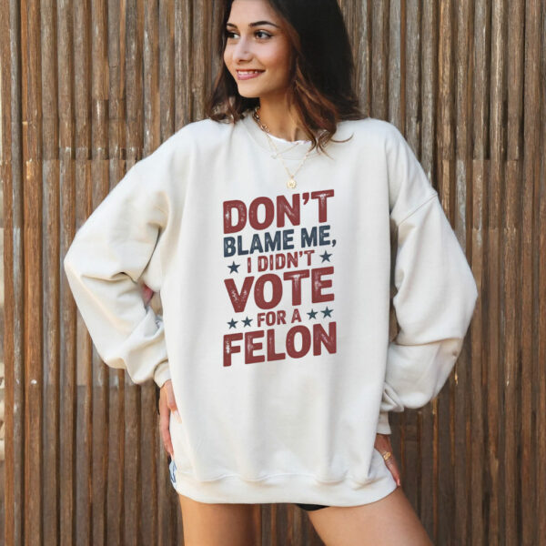 Don't Blame Me, I Didn't Vote for a Felon T-Shirt