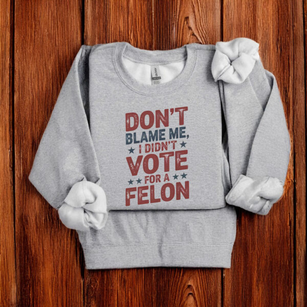 Don't Blame Me, I Didn't Vote for a Felon T-Shirt