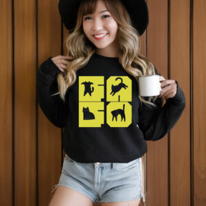 FAFO Cat Subtle Anti Donald Trump T-Shirt