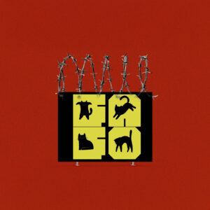 FAFO Cat Subtle Anti Donald Trump Yard Sign