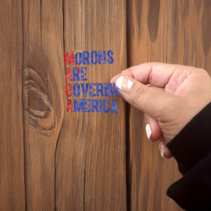 Funny Anti-MAGA, Morons Are Governing America Sticker ,Car Magnet