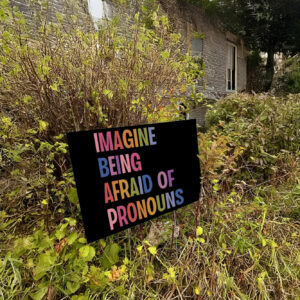 Imagine Being Afraid Of Pronouns Yard Sign, Queer Trans Nonbinary LGBT Rights Social Justice Human Rights Liberal Leftist Anti Trump