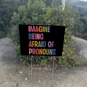 Imagine Being Afraid Of Pronouns Yard Sign, Queer Trans Nonbinary LGBT Rights Social Justice Human Rights Liberal Leftist Anti Trump