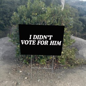Kamala Harris Fuck Trump 2025, I Didn't Vote For Him Yard Sign Anti-Trump