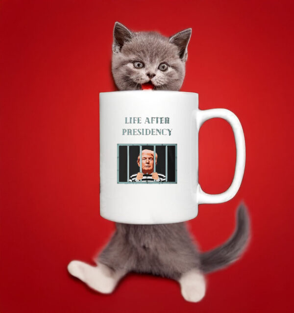 Life After Presidency Anti Trump Criminal In Jail Mug