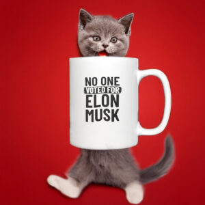 No One Voted For Elon Musk Mug