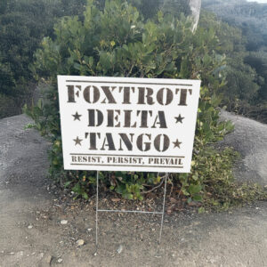 Subtle Anti Trump Yard Sign, FDT Democrat Resistance Gift