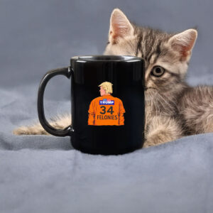 Trump 34 Felonies anti-Trump Mug