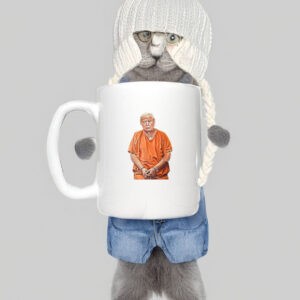 Trump In Prison Funny Anti Trump Trump Design Mug
