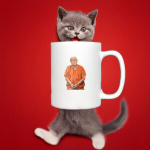 Trump In Prison Funny Anti Trump Trump Design Mug