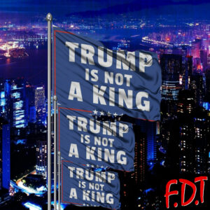 FDT Anti Trump - Anti Trump Is Not A King Flag