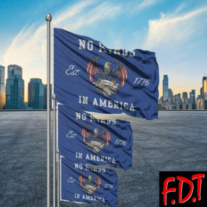 FDT Anti Trump - Democracy - No Kings in America Patriot 1776 Eagle Save Democracy Flag