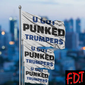 FDT Anti Trump - Democracy You Got Punked - Anti Trump 2025 Flag