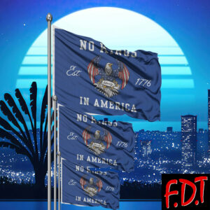 FDT Anti-Trump Feminist - No Kings in America Patriot 1776 Eagle Save Democracy Flag