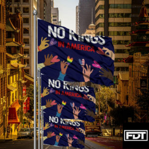 FDT Anti Trump - No Kings In America - Protect Democracy Flag