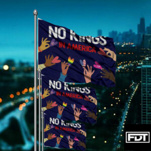 FDT Anti Trump - No Kings In America - Protect Democracy Flag