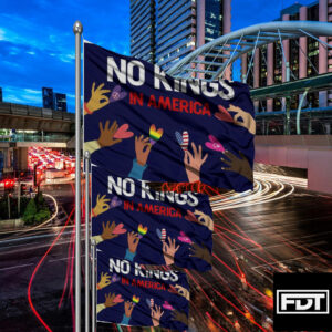 FDT Anti Trump - No Kings In America - Protect Democracy Flag
