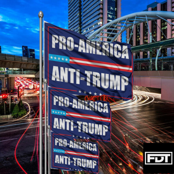 FDT Fuck Trump - (F Donald Trump) Resistance is Patriotic Pro America Flag